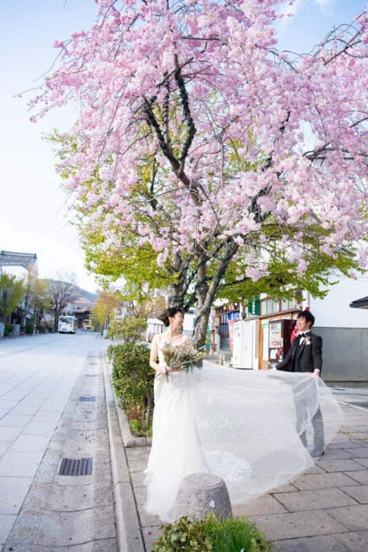 Preshot Report at 善光寺＆THE FUJIYA GOHONJIN